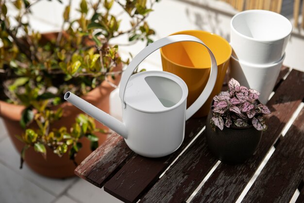 High angle plants and watering can