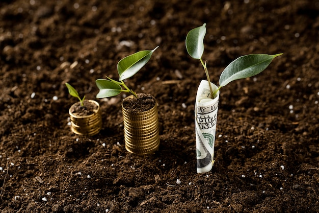 High angle of plants with coins stacked on dirt and banknote