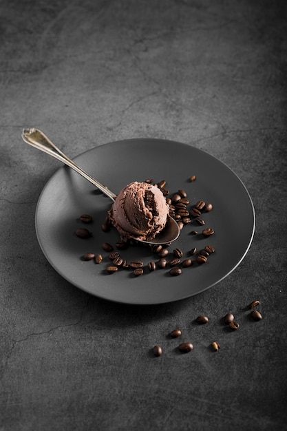 High angle plate with chocolate ice cream