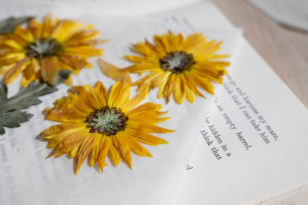 Free photo high angle of pressed flowers