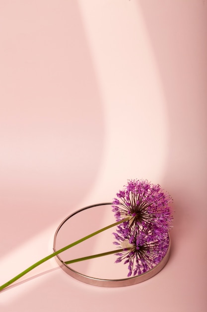 High angle purple flower on mirror