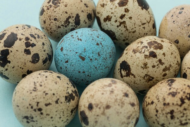 High angle quail egg collection