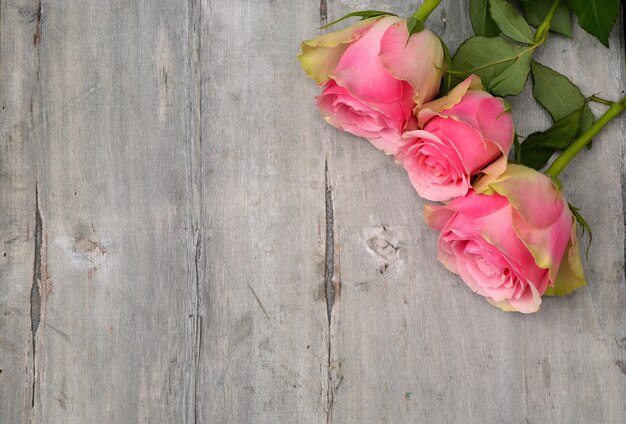 High angle shot of the beautiful pink roses on a wooden surface