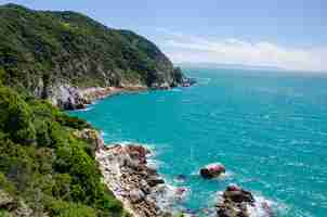 Foto gratuita alta angolazione del mare blu dall'abel tasman track, nuova zelanda