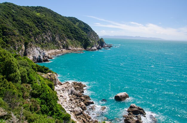 Снимок синего моря под высоким углом с трассы Абеля Тасмана, Новая Зеландия.