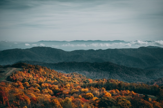 High angle shot of a colorful autumn forest under the gloomy sky