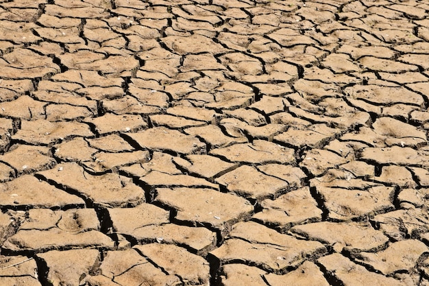 High angle shot of the dried and cracked muddy ground