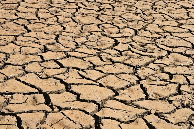 High angle shot of the dried and cracked muddy ground