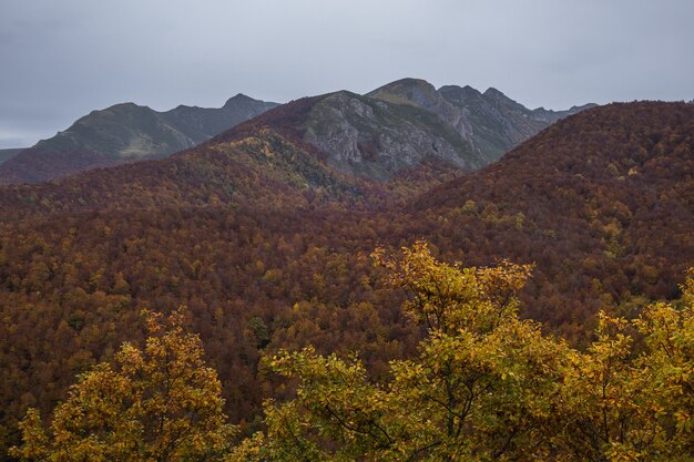 High angle shot of the Europa National Park captured in Autumn in Spain