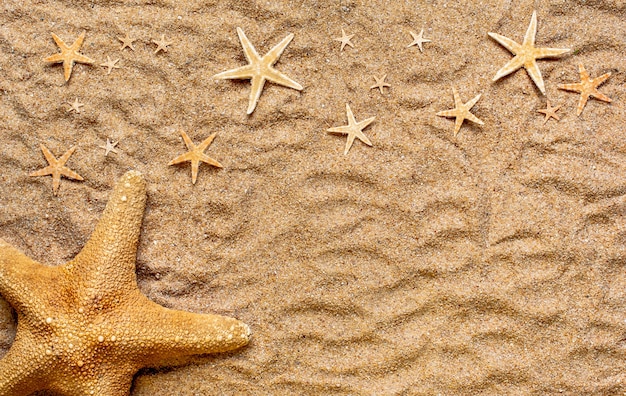 Free photo high angle shot of a few beautiful starfish on the sand-covered surface