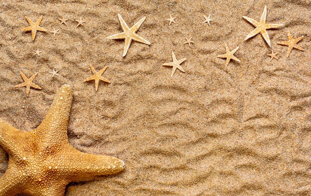 High angle shot of a few beautiful starfish on the sand-covered surface