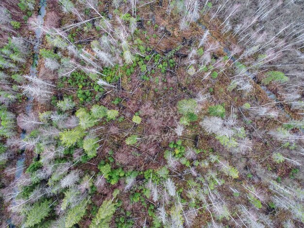 High angle shot of a field with partially gone dry because of changes in weather