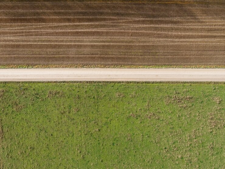 Free Photo high angle shot of a field with partially gone dry because of changes in weather
