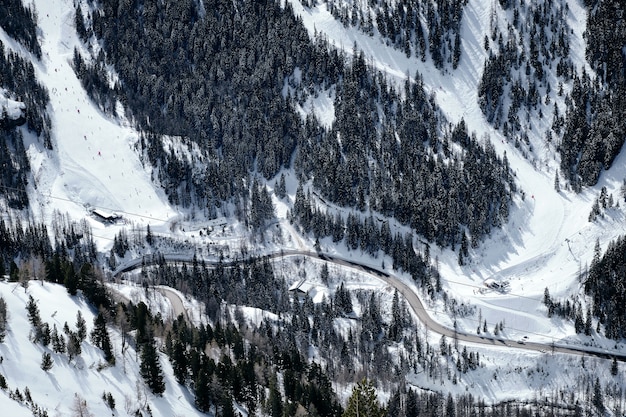 Col de la Lombarde에서 눈으로 덮여 숲이 우거진 산의 높은 각도 샷