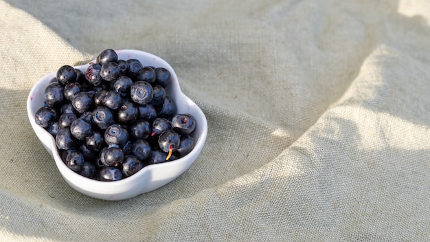 High angle shot of fresh blueberries in a white bowl, on a cloth outdoors