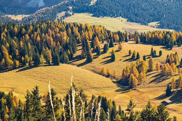 High angle shot of grassy hills covered in trees in dolomite Italy