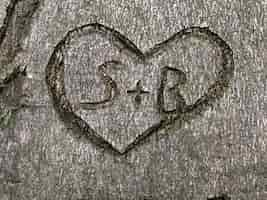 Free photo high angle shot of a heart symbol carved on a tree