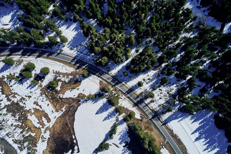 Free Photo high angle shot of a highway in a beautiful spruce forest in winter with snow covering the ground