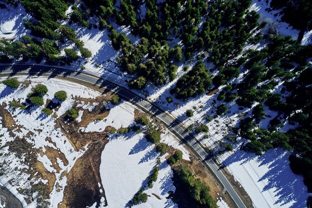 雪が地面を覆う冬の美しいトウヒ林の高速道路のハイアングルショット