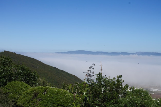 High angle shot of Hutt Valley in New Zealand covered with fog