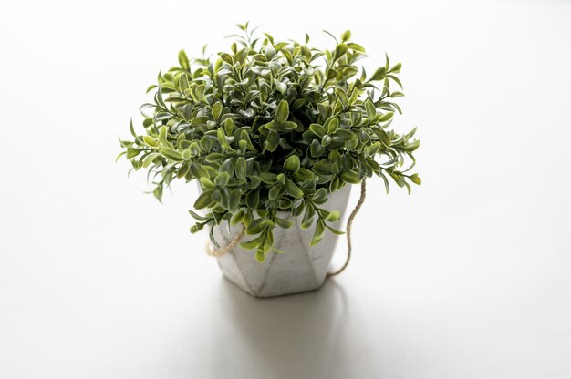 High angle shot of a plant pot on a white surface