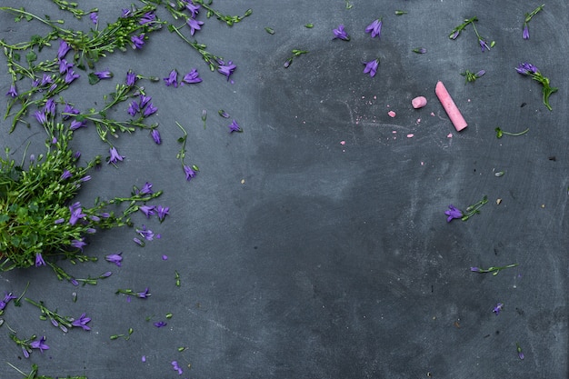 ピンクのチョークで黒い表面に広がる紫色の花のハイアングルショット