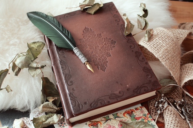 Гусиное перо на старинной книге, покрытой засохшими лепестками цветов, под высоким углом