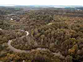 Free photo high angle shot of a river in the middle of a forest with brown leafed trees