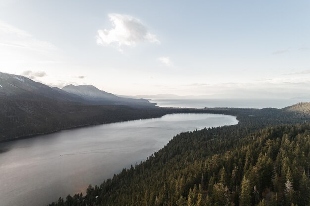 High angle shot of a river in the middle of a green scenery under the clear sky