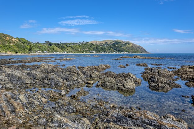 ニュージーランドのプケルア湾の水の岩のハイアングルショット
