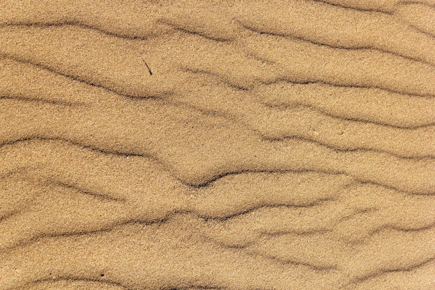 Снимок грубой текстуры золотого пляжа с высоким углом