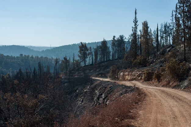 High angle shot of a sandy road in the mountains