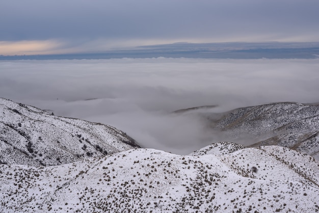 青空の下で雲の上の木で覆われた雪に覆われた山のハイアングルショット