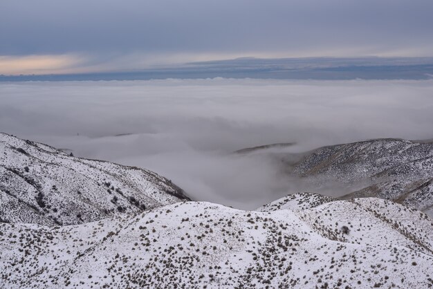 青空の下で雲の上の木で覆われた雪に覆われた山のハイアングルショット