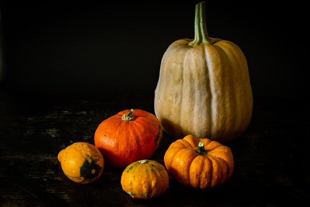 High angle shot of various squashes