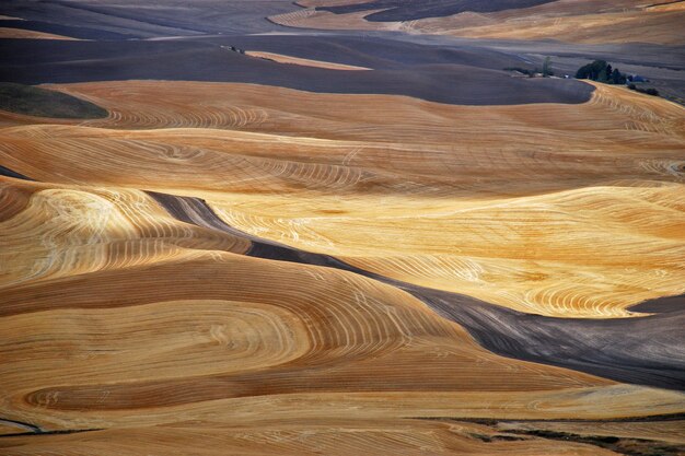 Снимок пшеничных полей на холмах региона Палауз в штате Вашингтон под высоким углом.