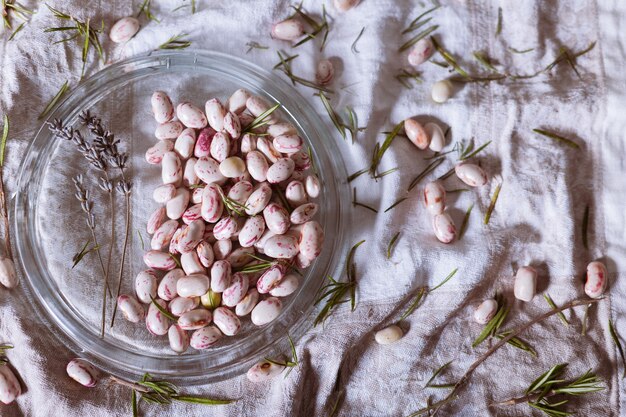 High angle shot of white beans placed in a petri dish