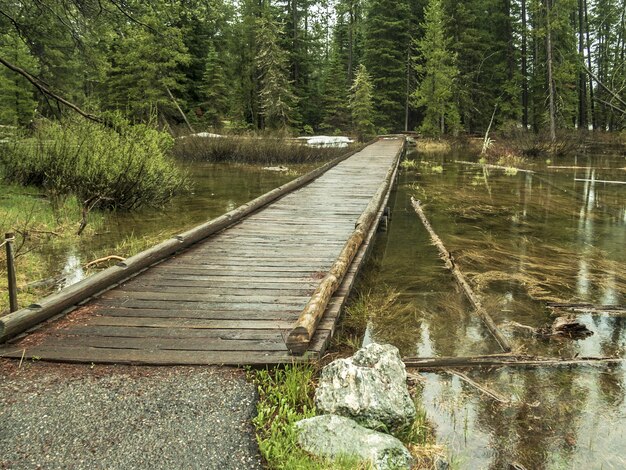 그랜드 티턴 국립 공원, 미국에있는 호수에서 나무 다리의 높은 각도 샷