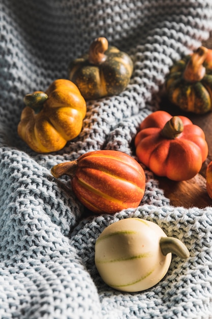 Free photo high angle small pumpkins on crocheted blanket