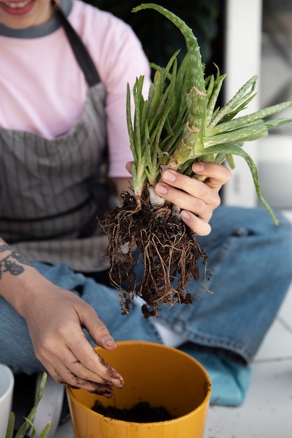 High angle smiley woman transplanting plant