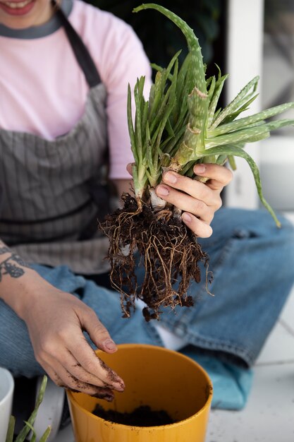 High angle smiley woman transplanting plant