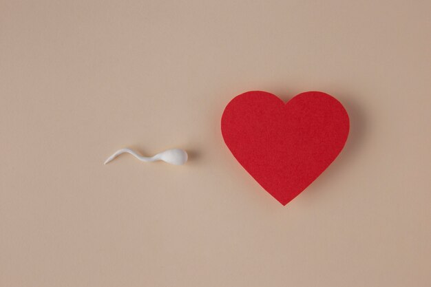 Сперматозоиды высокого угла и красное сердце