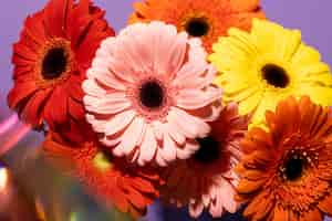 Free photo high angle of spring gerbera flowers