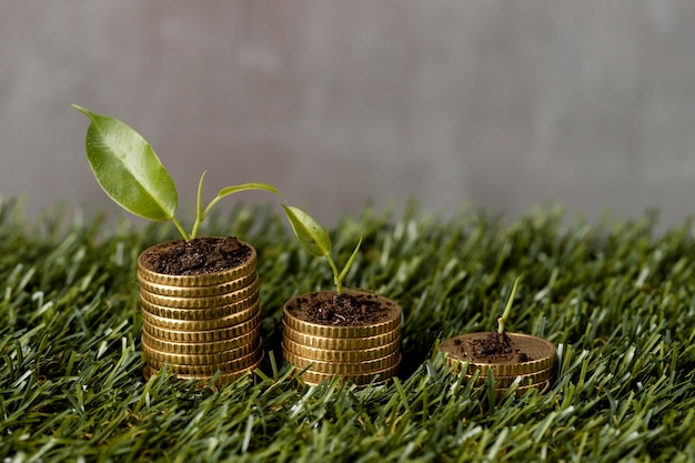 High angle of three stacks of coins on grass with plants and dirt