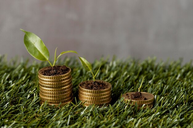 high angle of three stacks of coins on grass with plants and dirt
