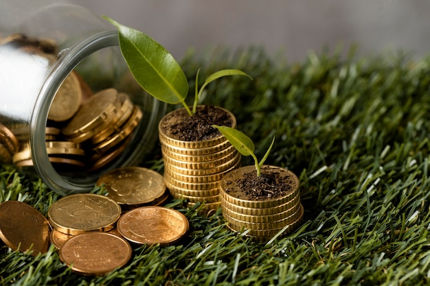 High angle of two stacks of coins on grass with jar and plants