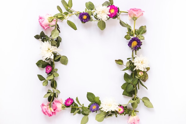 High angle view of beautiful flowers forming frame on white backdrop