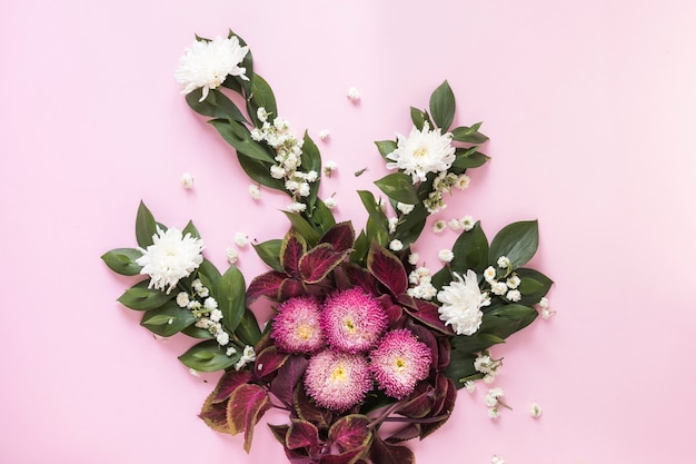 High angle view of beautiful flowers on pink backdrop