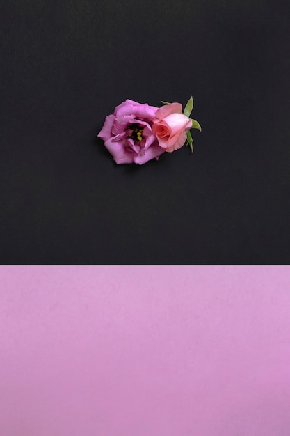 High angle view of beautiful flowers on pink and black wallpaper