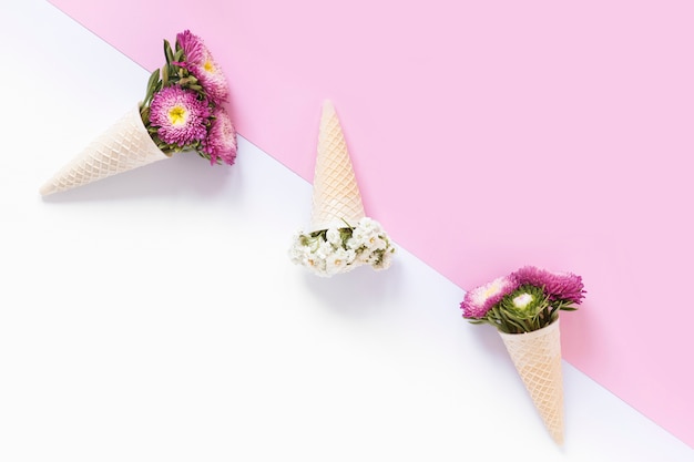 High angle view of beautiful flowers in waffle ice cream cone on dual background